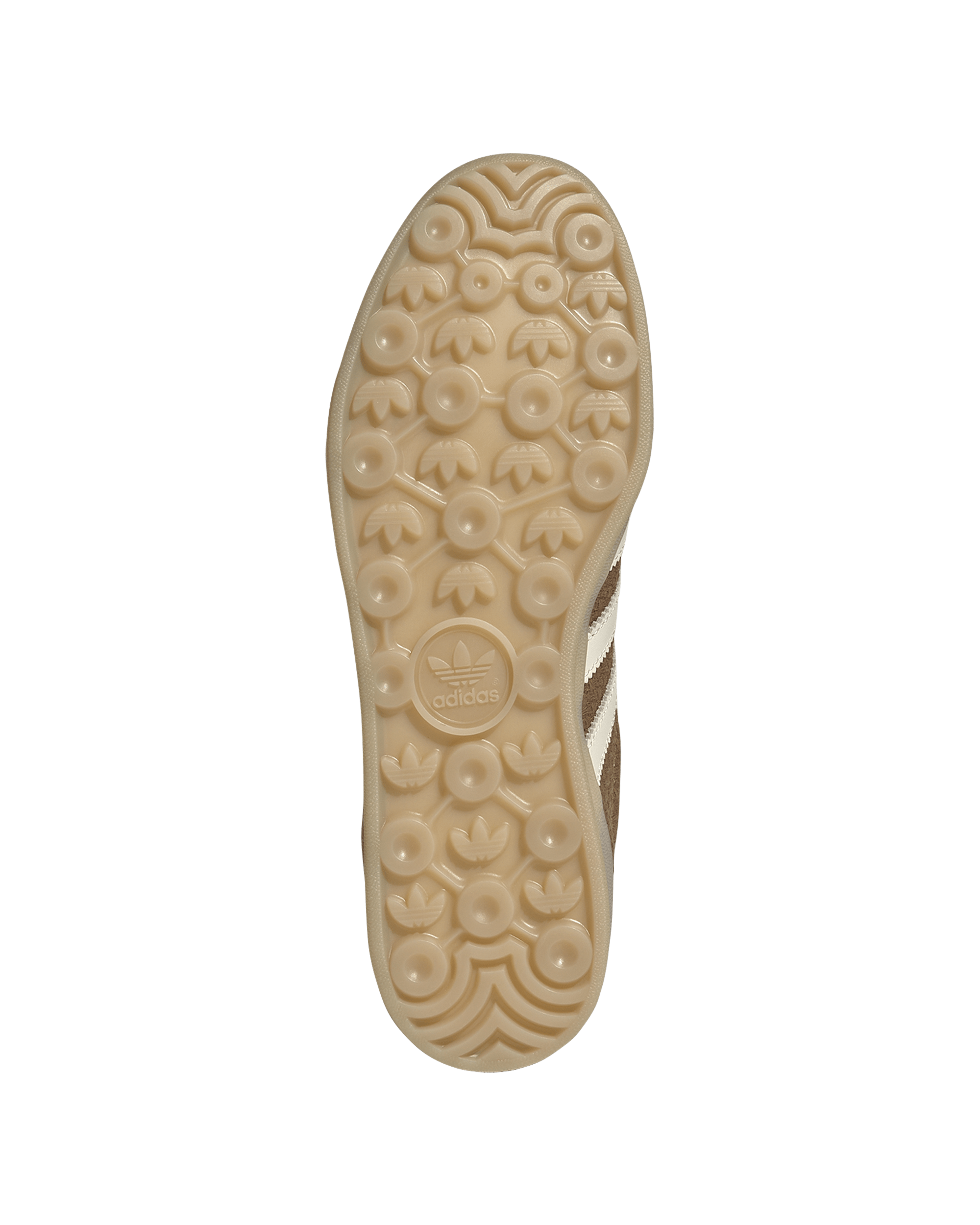 Gazelle Indoor - Image 4